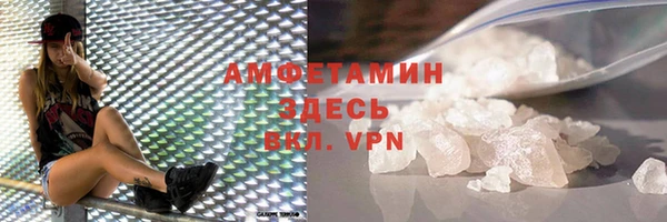 прущие грибы Абинск